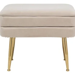 Banco De Terciopelo Pavlina, Con Espacio De Almacenamiento