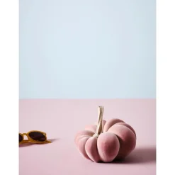 Calabaza Decorativa Pepo