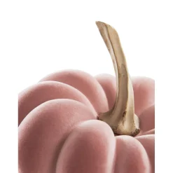 Calabaza Decorativa Pepo