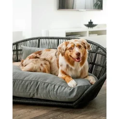 Cama Para Mascotas De Interior/Exterior Prado