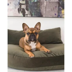 Cama Para Mascotas De Interior/Exterior Prado