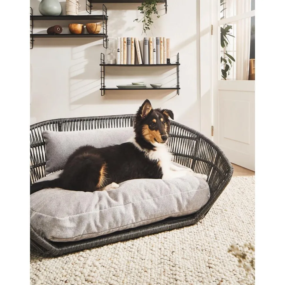 Cama Para Mascotas De Interior/Exterior Prado