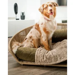 Cama Para Mascotas De Interior/Exterior Vogue