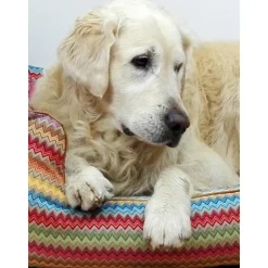 Cama Para Mascotas Zik Zak, Tamanos Diferentes