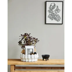 Cuenco Decorativo Grande De Ceramica Anise