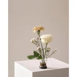 Erizo Floral Para Jarron Fiore, O 5 Cm