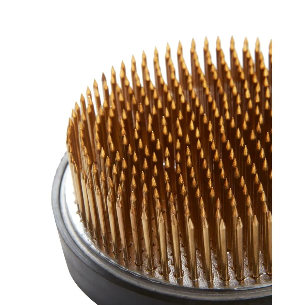 Erizo Floral Para Jarron Fiore, O 8 Cm