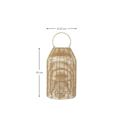 Farolillo De Ratan Ferdi