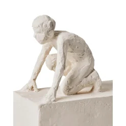 Figura Decorativa Astro: Widder