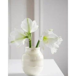 Jarron Artesanal De Ceramica Omaggio