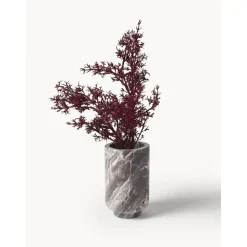 Jarron De Marmol Stevie