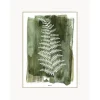 Lamina Decorativa White Fern