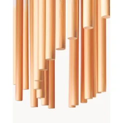 Lampara De Techo Grande De Diseno Coralie