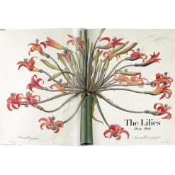 Libro Ilustrado Book Of Flowers