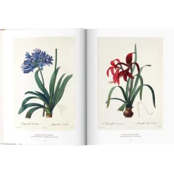 Libro Ilustrado Book Of Flowers