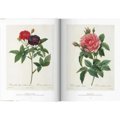 Libro Ilustrado Book Of Flowers