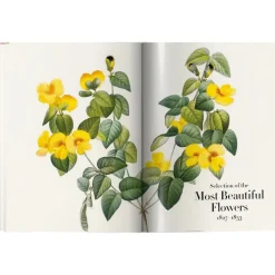 Libro Ilustrado Book Of Flowers
