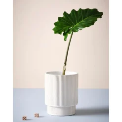 Macetero De Ceramica Ruby