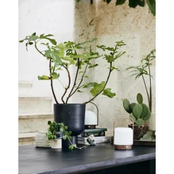 Macetero Pequeno Galoa