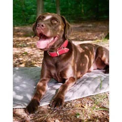 Manta Acolchada Para Mascotas Oxford, Tamanos Diferentes