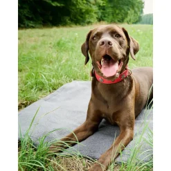 Manta Acolchada Para Mascotas Antideslizante Teddy, Tamanos Diferentes