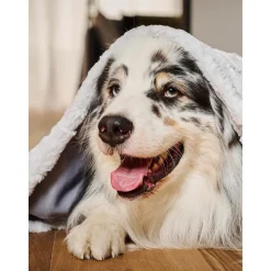 Manta Acolchada Para Mascotas Cozy, Tamanos Diferentes