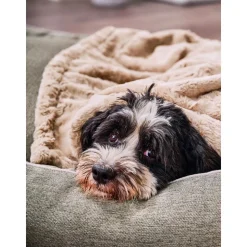 Manta Acolchada Para Mascotas Cozy, Tamanos Diferentes