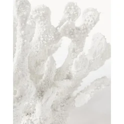 Pieza Decorativa De Diseno Coral