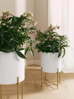 Set De Maceteros De Metal Mina, 2 Uds.