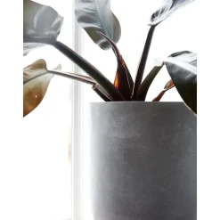 Set De Maceteros Grandes De Hormigon Gard, 3 Uds.