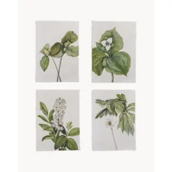 Set De Posters Fribo, 4 Uds.