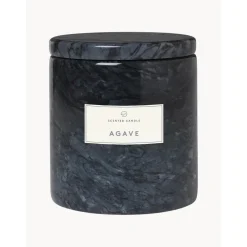 Vela Perfumada Frable (Agave)