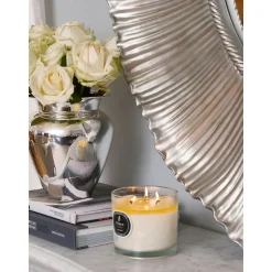 Vela Perfumada Tres Mechas Parks Original (Vainilla Y Citricos)