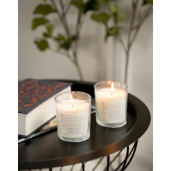 Vela Perfumada Winter (Canela)