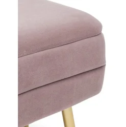 Banco De Terciopelo Pavlina, Con Espacio De Almacenamiento