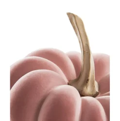 Calabaza Decorativa Pepo