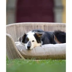 Cama Para Mascotas De Interior/Exterior Vogue