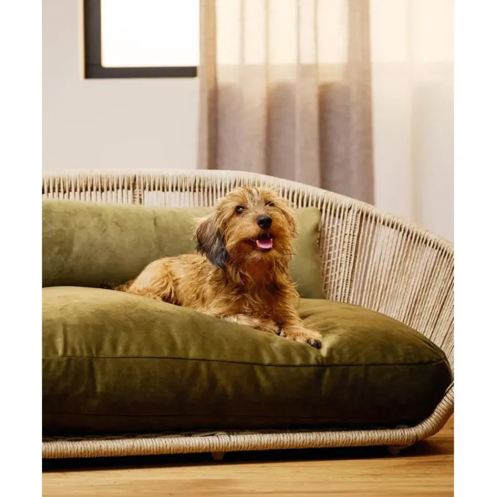 Cama Para Mascotas De Interior/Exterior Vogue