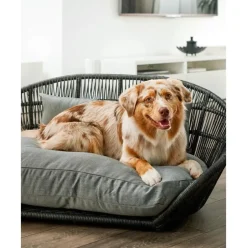 Cama Para Mascotas De Interior/Exterior Prado