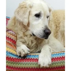 Cama Para Mascotas Zik Zak, Tamanos Diferentes