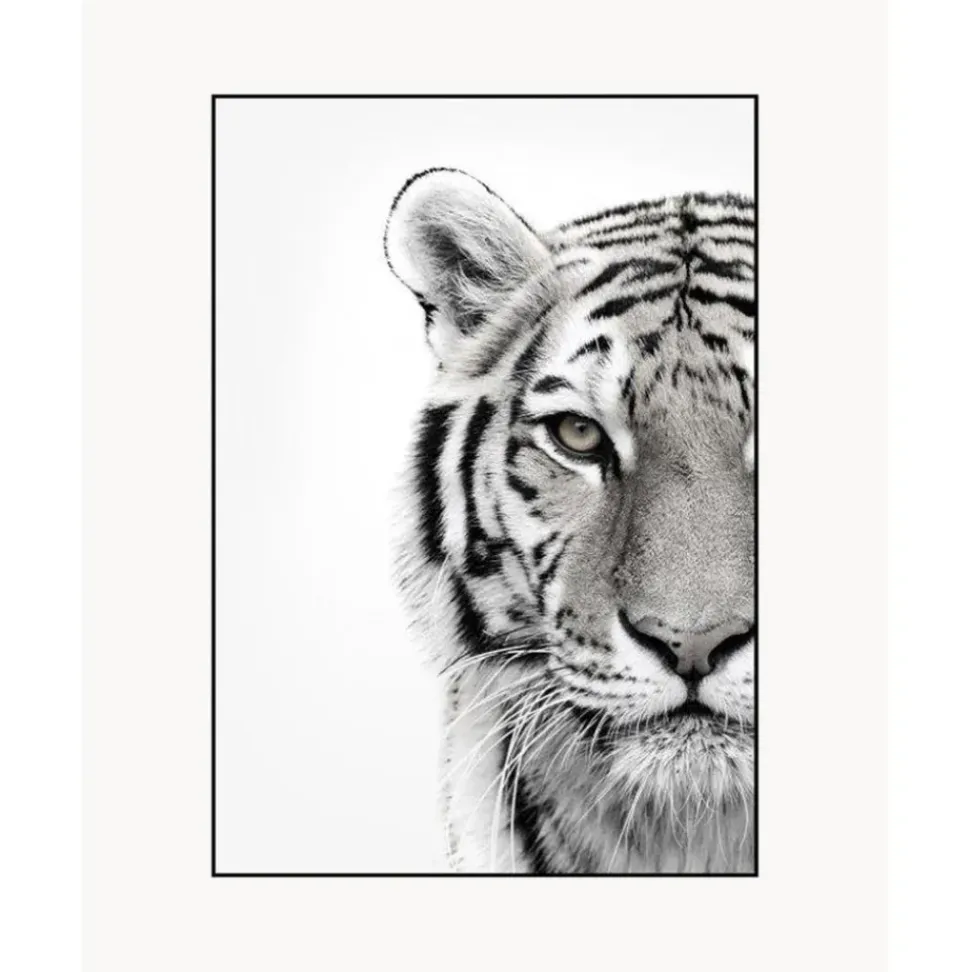 Impresion Digital Enmarcada White Tiger