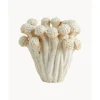 Jarron Artesanal De Diseno Fungi