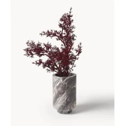 Jarron De Marmol Stevie