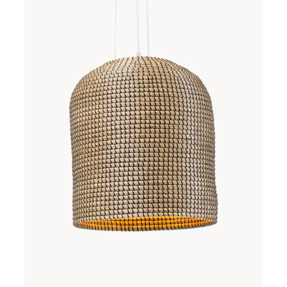 Lampara De Techo De Jacintos De Agua Palma