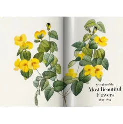 Libro Ilustrado Book Of Flowers