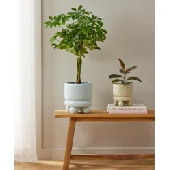 Macetero Pequeno Bryn