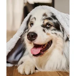 Manta Acolchada Para Mascotas Cozy, Tamanos Diferentes