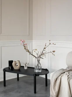 Mesa De Centro Ovalada De Madera De Roble Woody