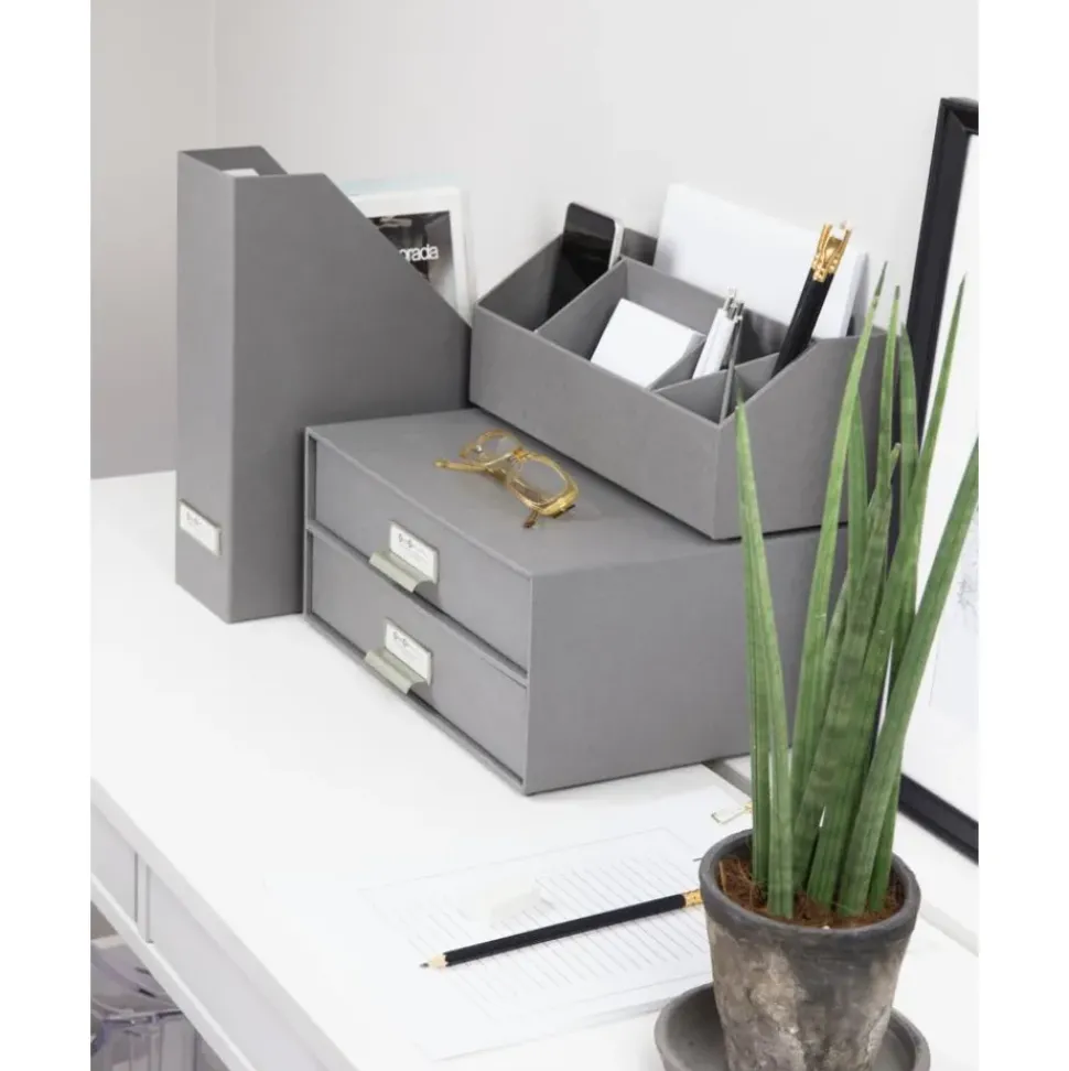 Organizador De Escritorio Birger