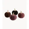 Set De Calabazas Decorativas Mercy, 4 Uds.